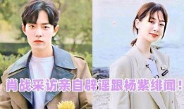 杨紫和肖战最新爆料辟谣,澄清谣言，真相揭晓