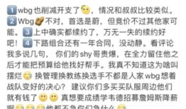 wbg最新爆料,揭秘电竞圈的惊天秘密与幕后真相