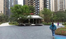 武龙江小区最新爆料,揭秘神秘事件背后的真相