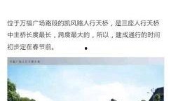 桂林大爆料最新新闻,揭秘桂林最新热点事件与奇闻轶事