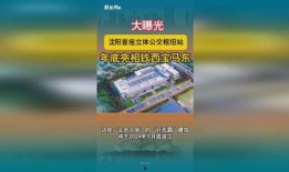 沈阳爆料大揭秘最新消息,最新热点事件深度解析