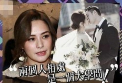 阿娇和前夫最新爆料,揭秘婚姻真相与情感纠葛