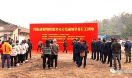 宾阳黎塘最新新闻爆料,重大事件引发关注，详情即将揭晓