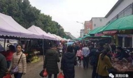 宾阳黎塘最新新闻爆料,重大事件引发关注，详情即将揭晓