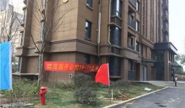 武龙江小区最新爆料,揭秘神秘事件背后的真相