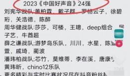 最新爆料好声音是哪一期,揭秘神秘选手背后的故事
